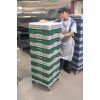 Cambro stojaki bazowe camrack w pełnym rozmiarze - sherwood green (119)