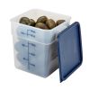 Cambro camsquares classic doorschijnend - doorschijnend (190)